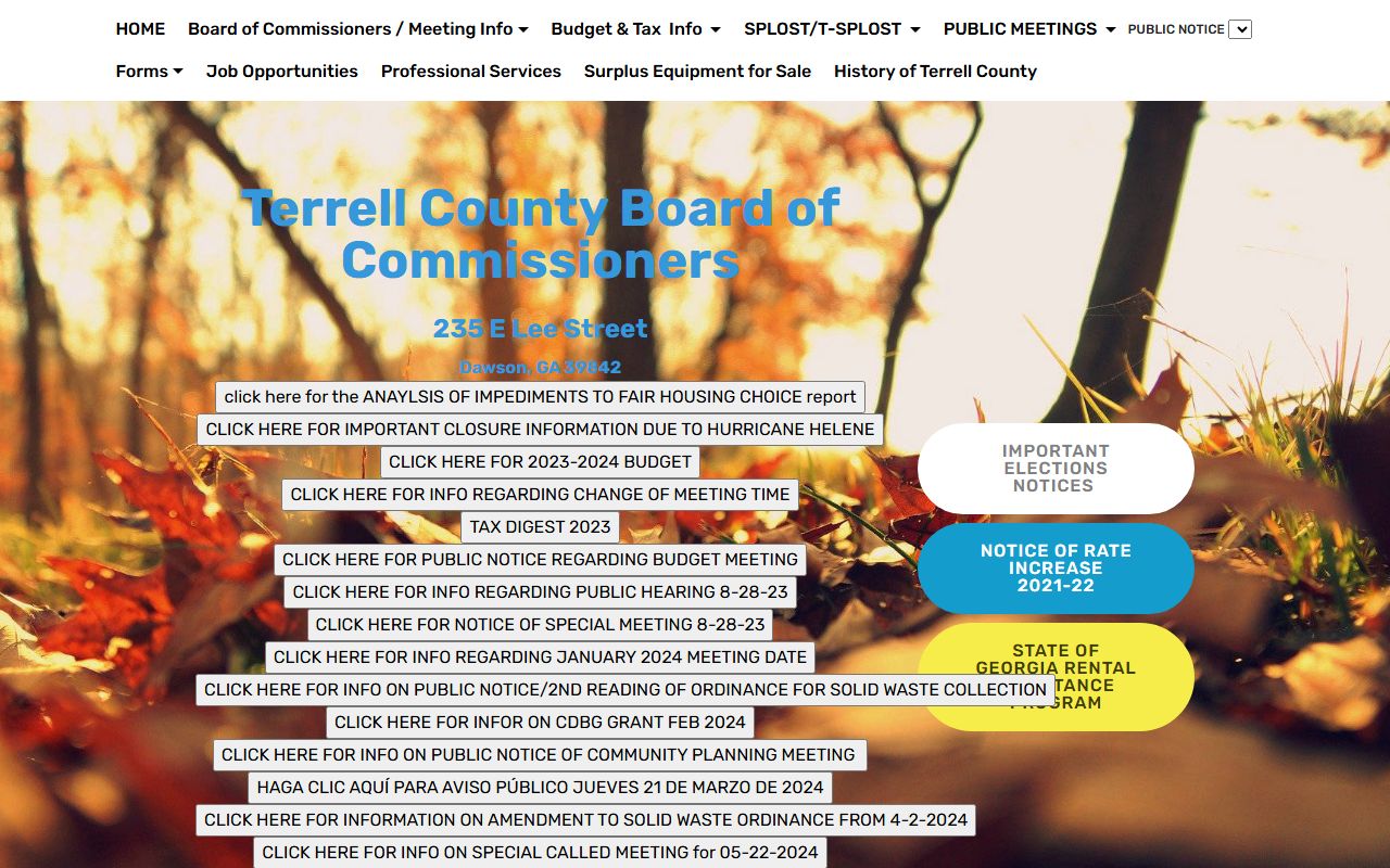 Terrell County Georgia government website with divorce records contact information